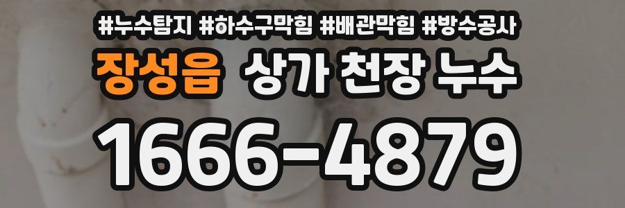 장성읍 상가 천장 누수