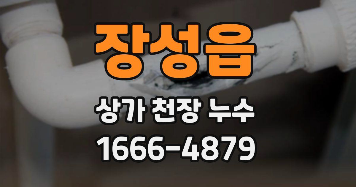 장성읍 상가 천장 누수