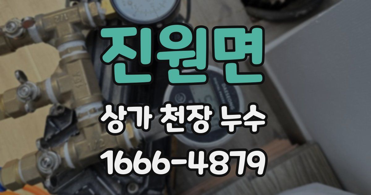 진원면 상가 천장 누수