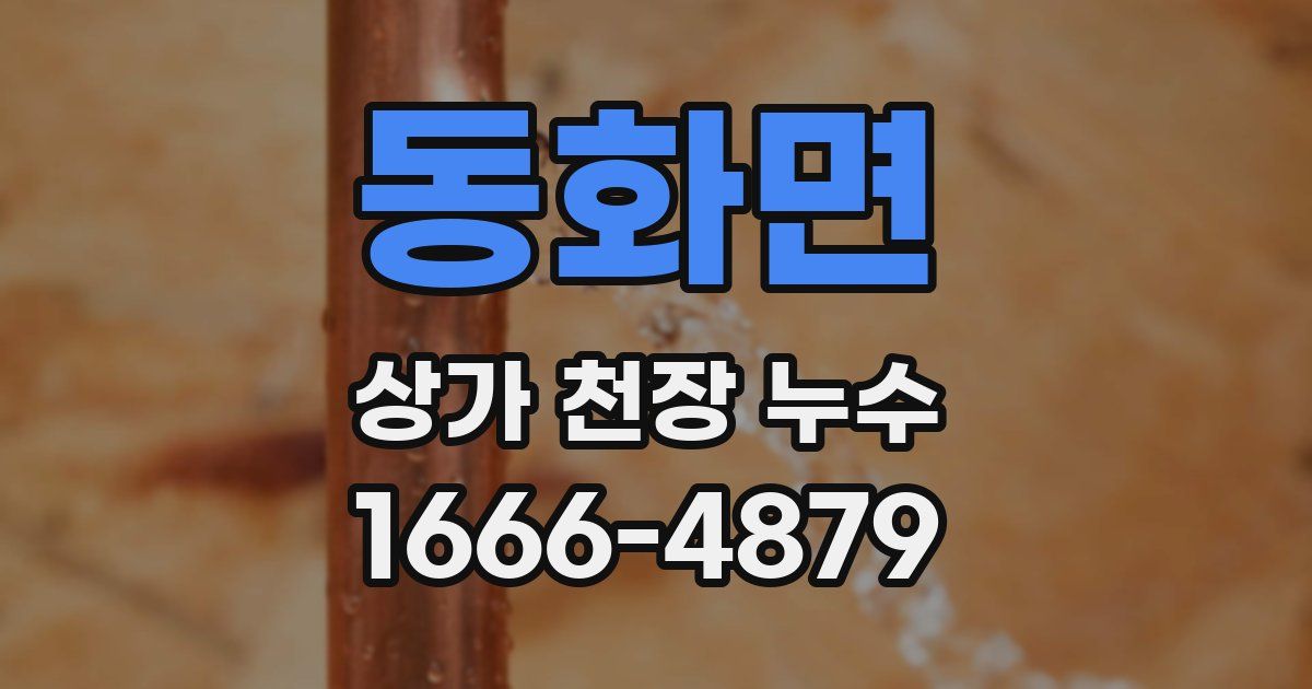 동화면 상가 천장 누수