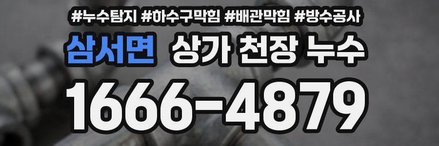 삼서면 상가 천장 누수