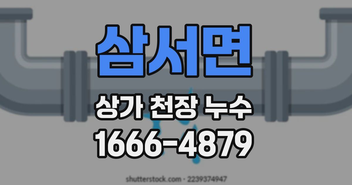 삼서면 상가 천장 누수