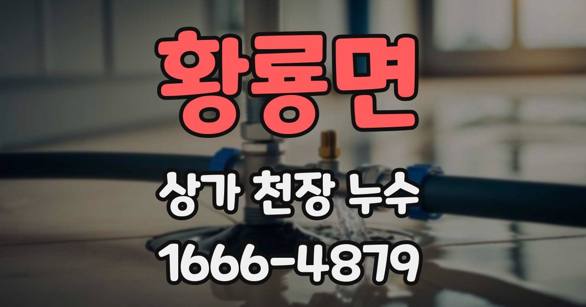 황룡면 상가 천장 누수