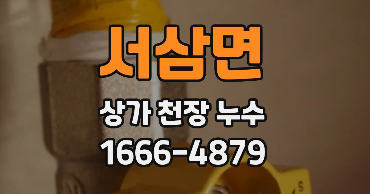 서삼면 상가 천장 누수