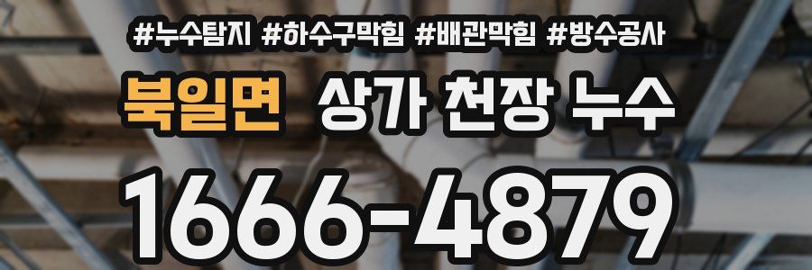 북일면 상가 천장 누수