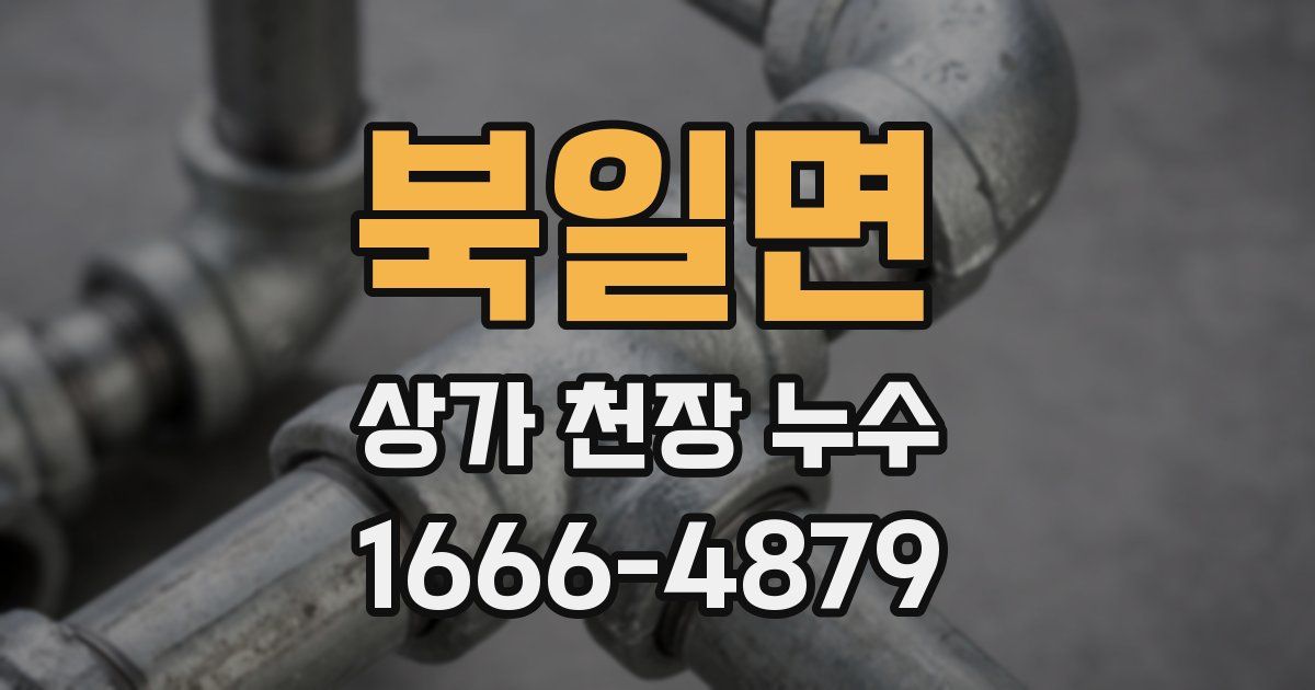북일면 상가 천장 누수