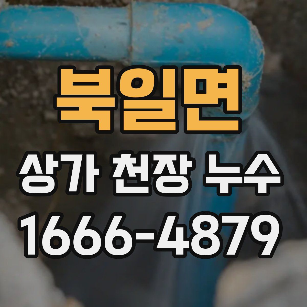 북일면 상가 천장 누수