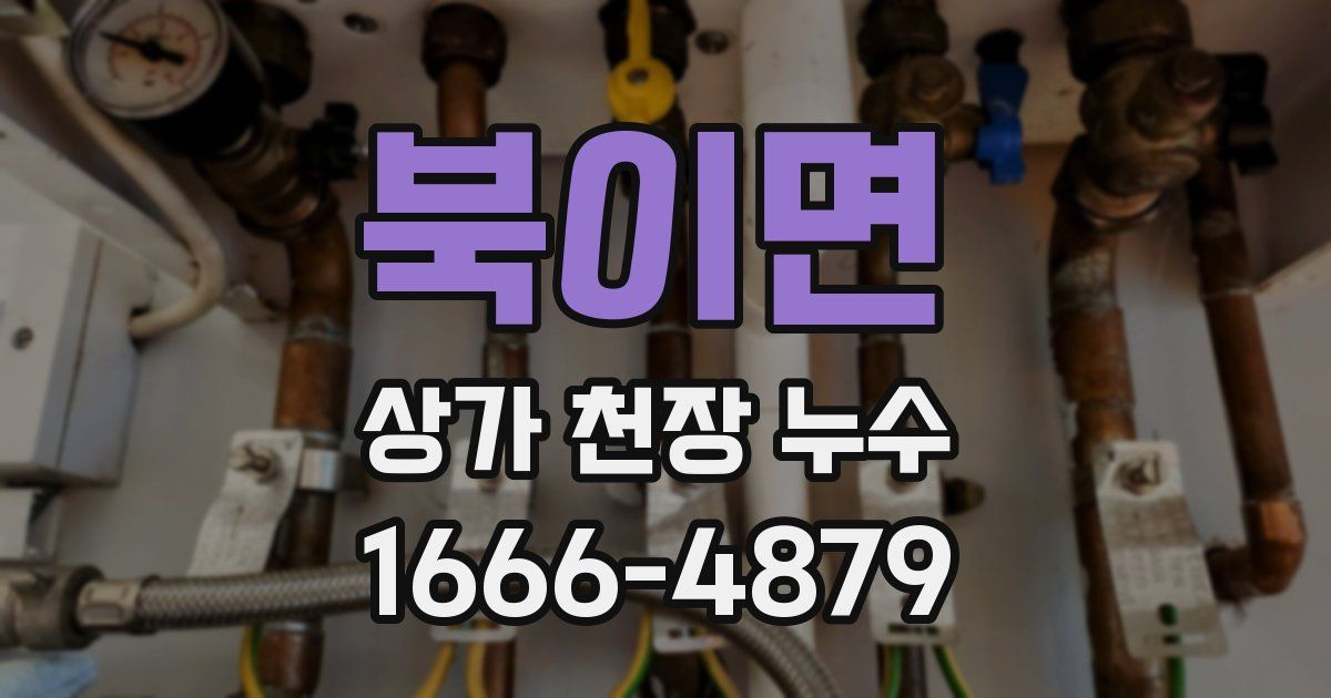 북이면 상가 천장 누수