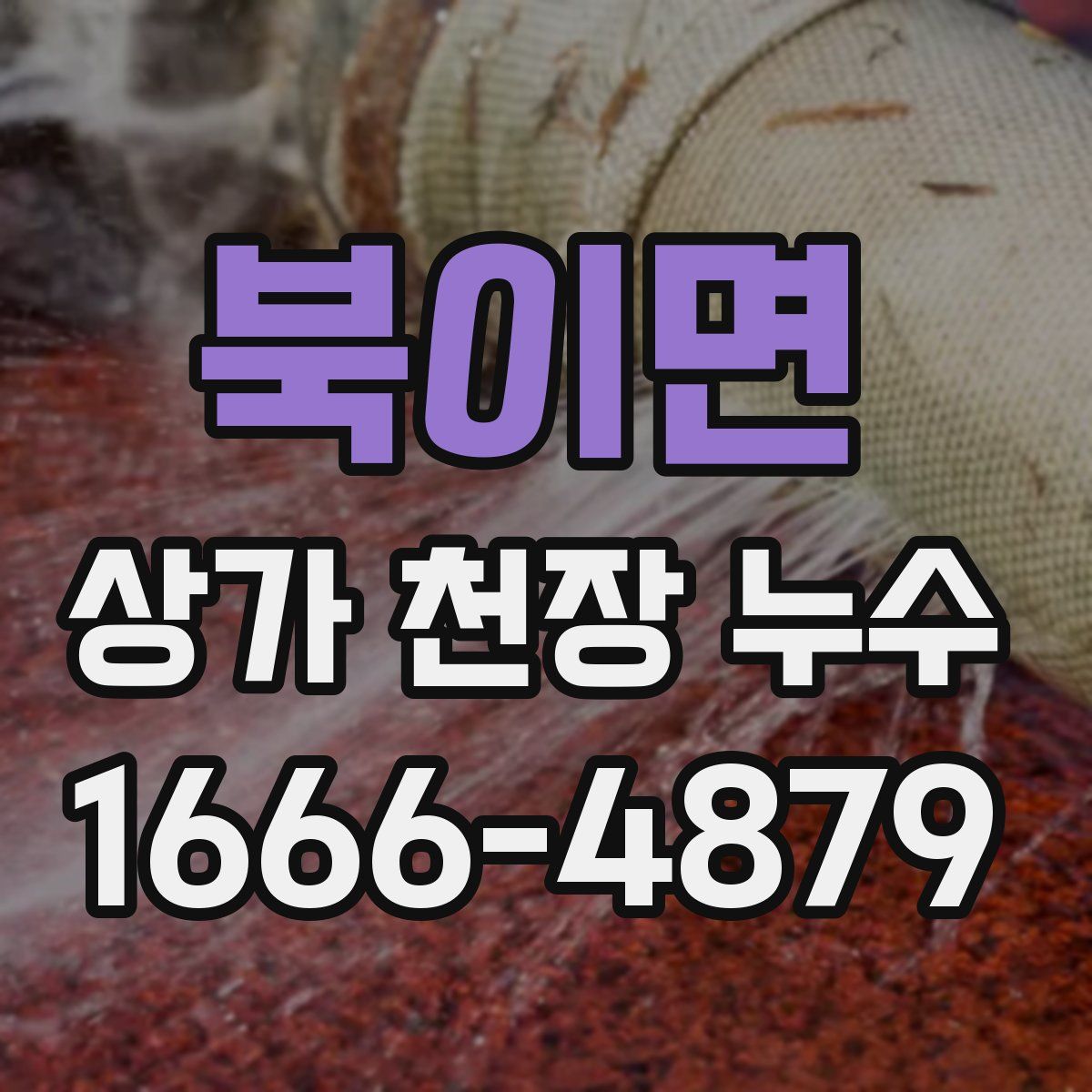 북이면 상가 천장 누수