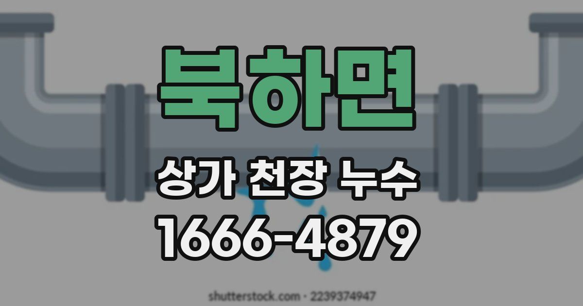 북하면 상가 천장 누수