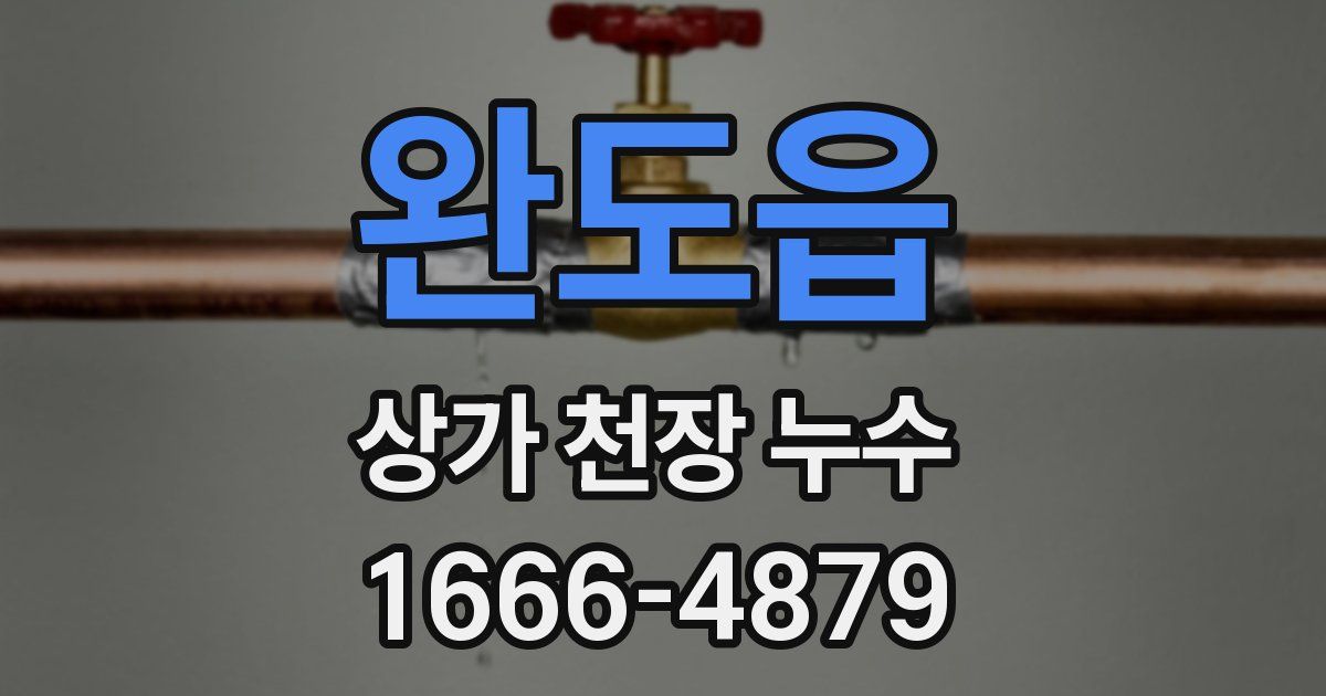 완도읍 상가 천장 누수