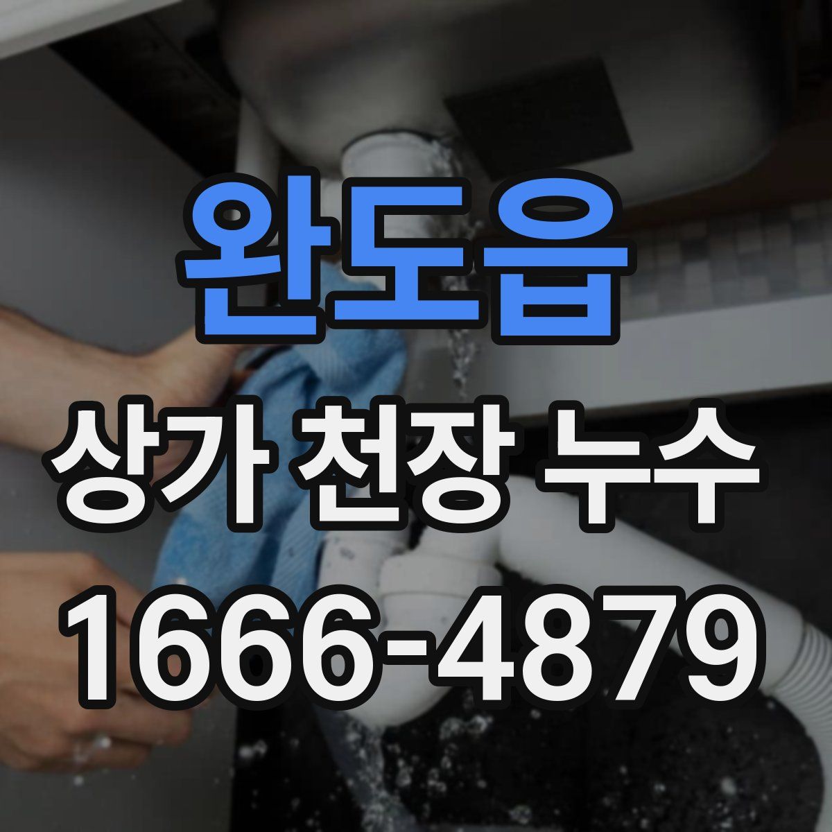 완도읍 상가 천장 누수
