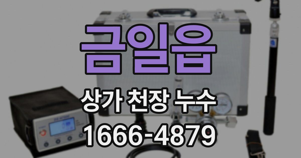 금일읍 상가 천장 누수