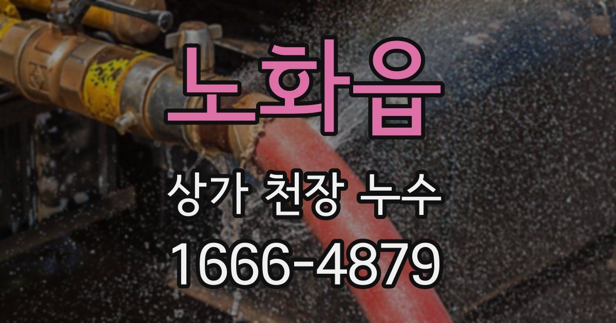 노화읍 상가 천장 누수