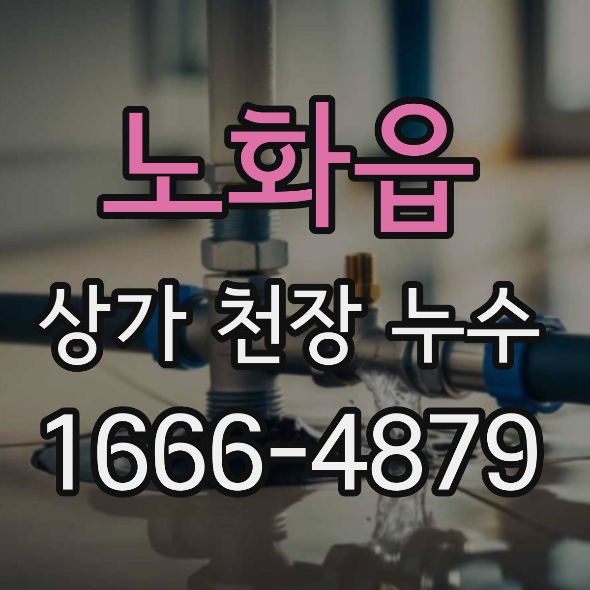노화읍 상가 천장 누수