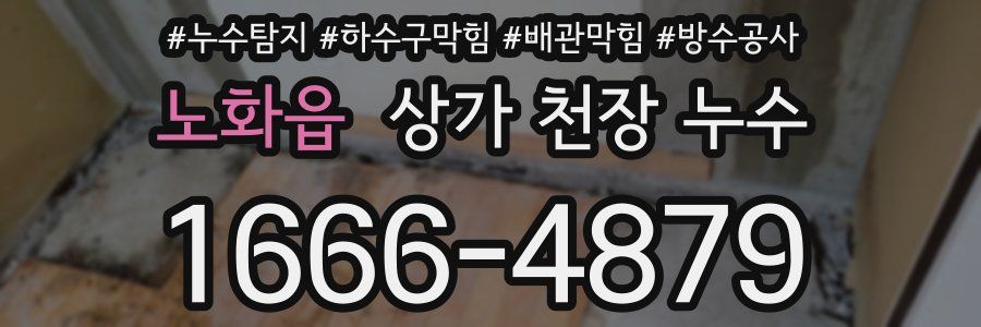 노화읍 상가 천장 누수