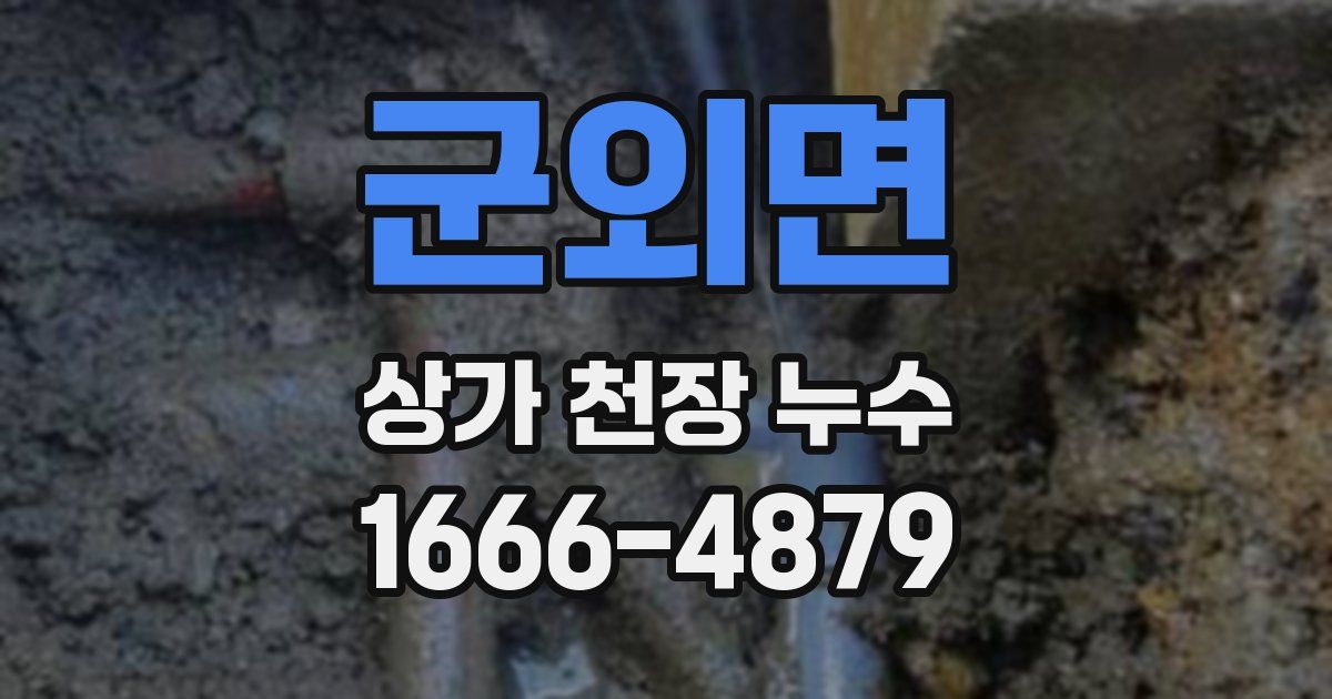 군외면 상가 천장 누수
