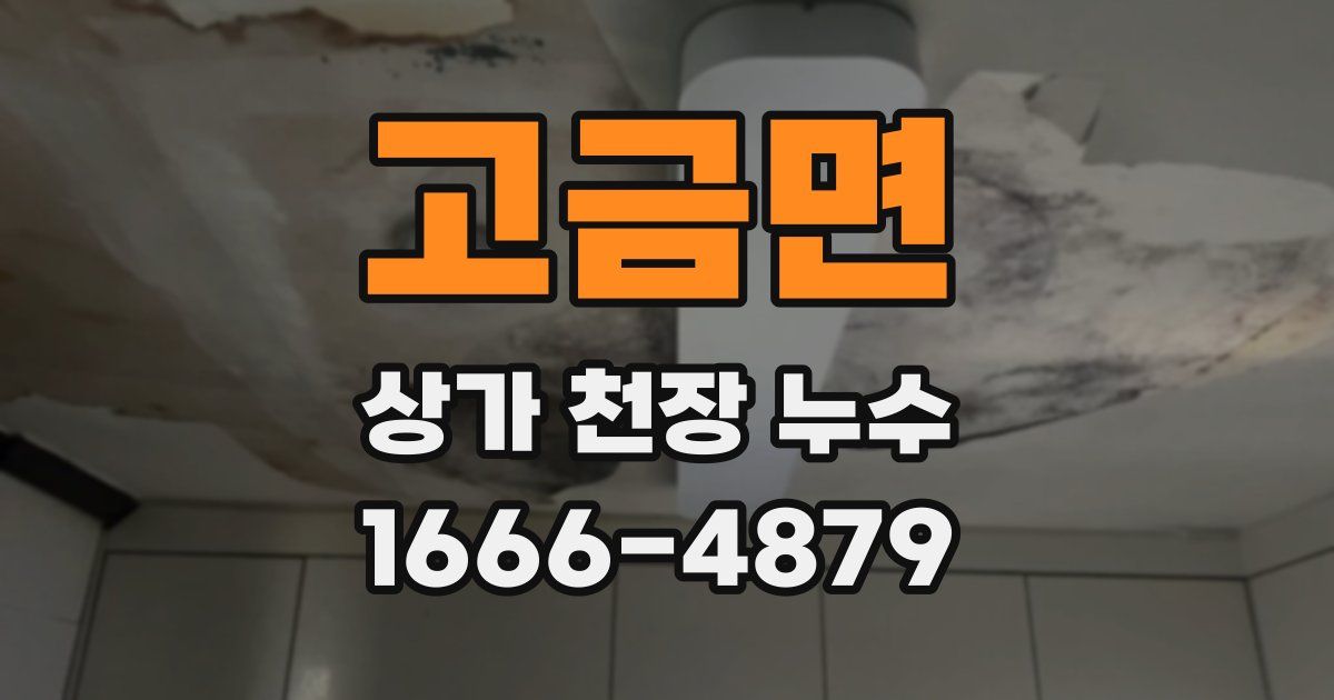 고금면 상가 천장 누수
