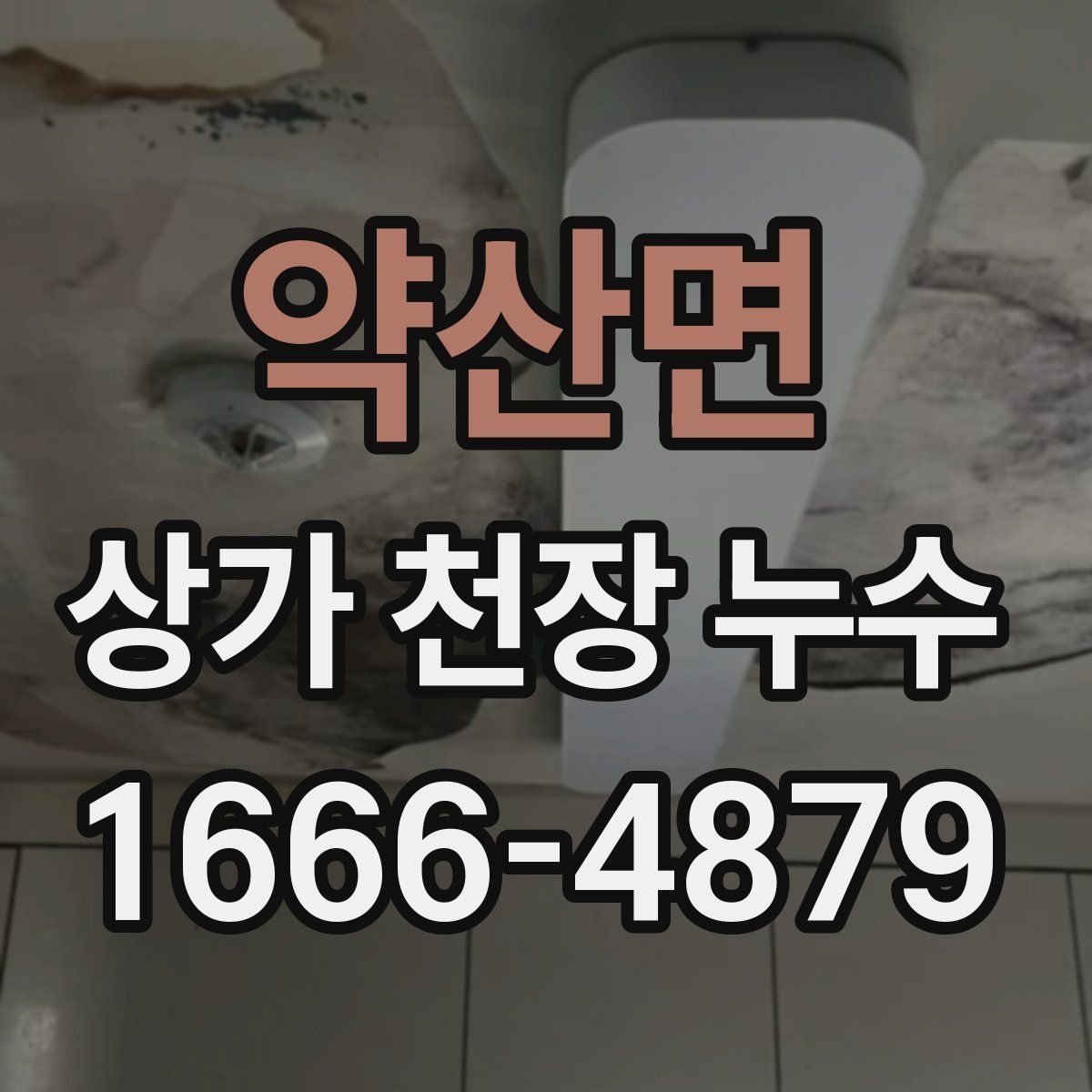 약산면 상가 천장 누수