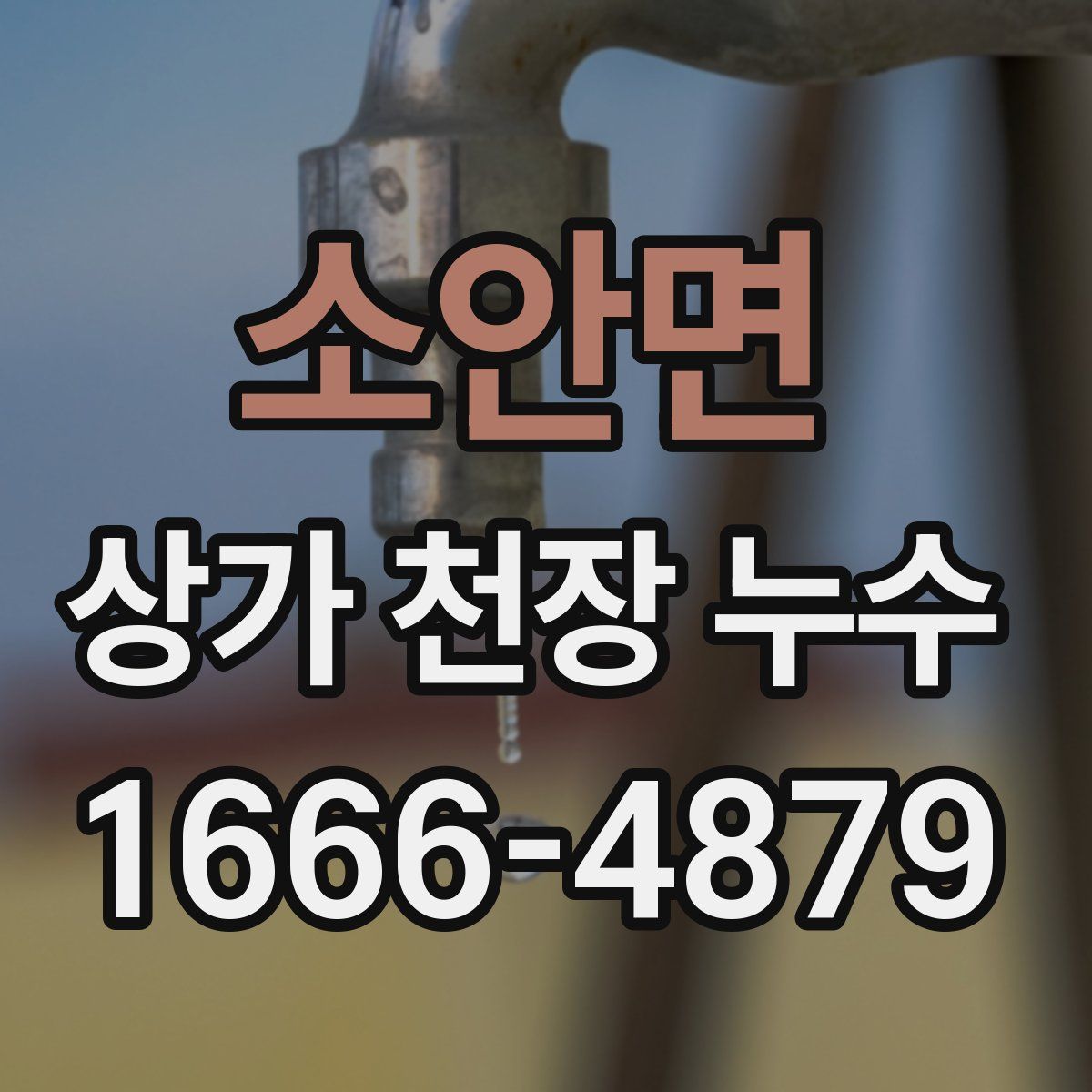 소안면 상가 천장 누수
