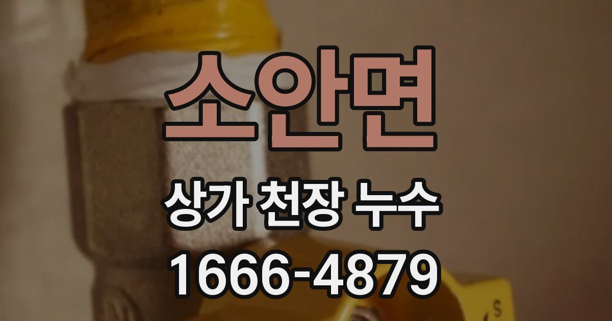 소안면 상가 천장 누수