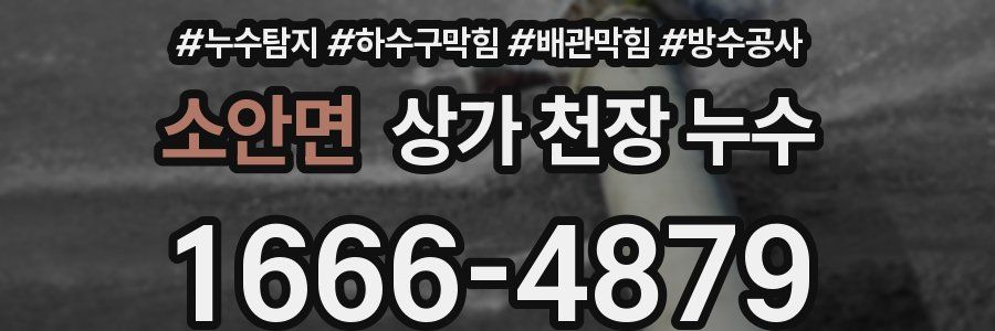 소안면 상가 천장 누수