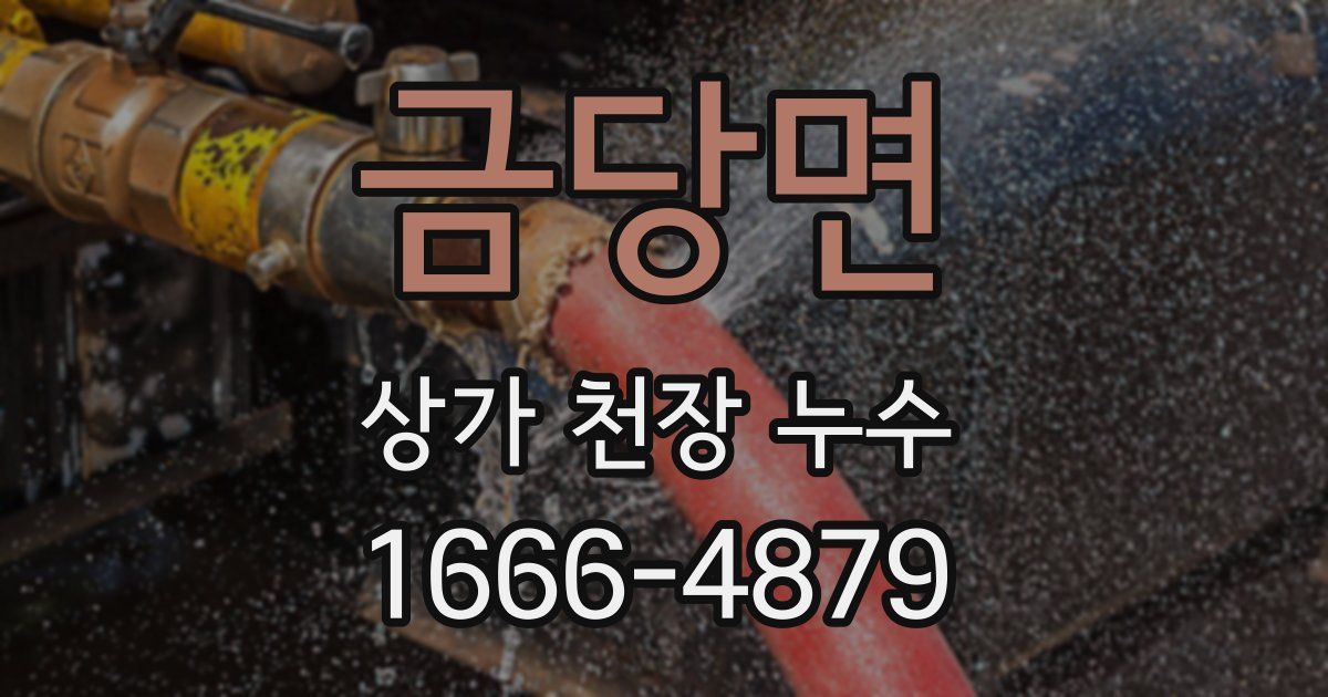 금당면 상가 천장 누수