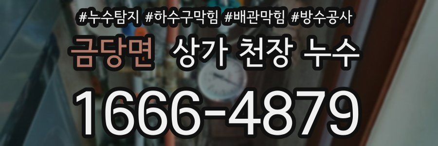 금당면 상가 천장 누수
