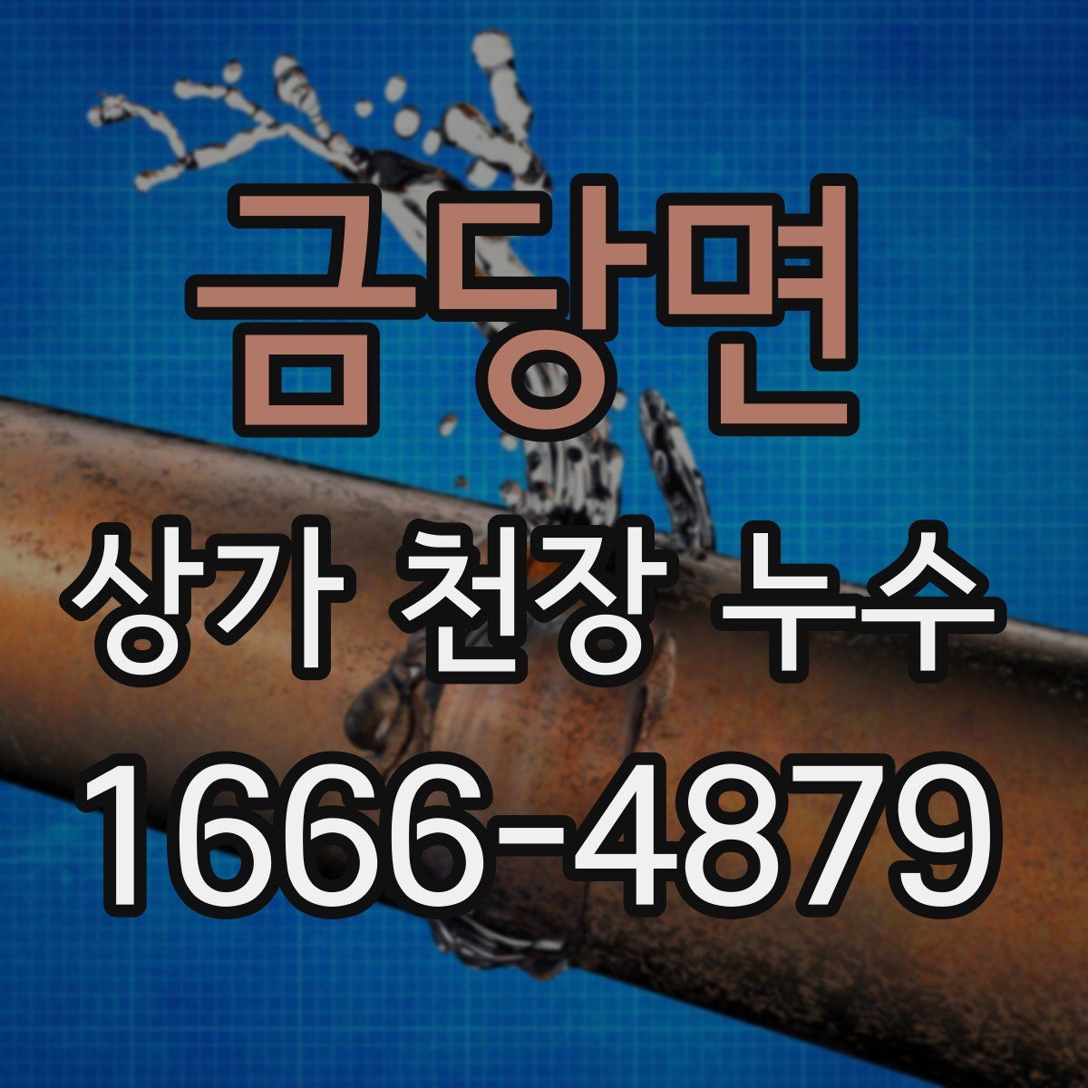 금당면 상가 천장 누수