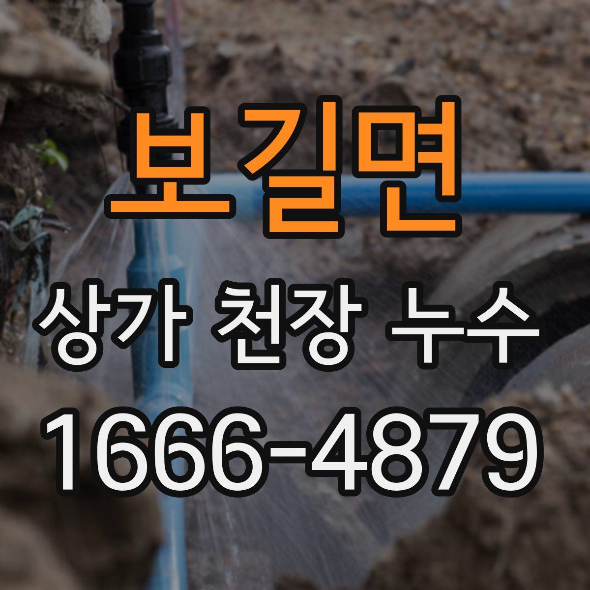 보길면 상가 천장 누수