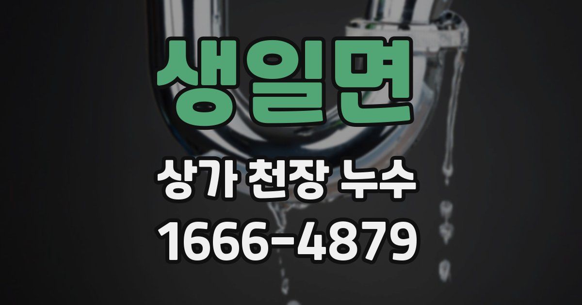 생일면 상가 천장 누수