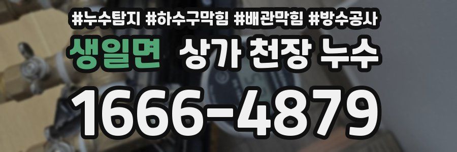 생일면 상가 천장 누수