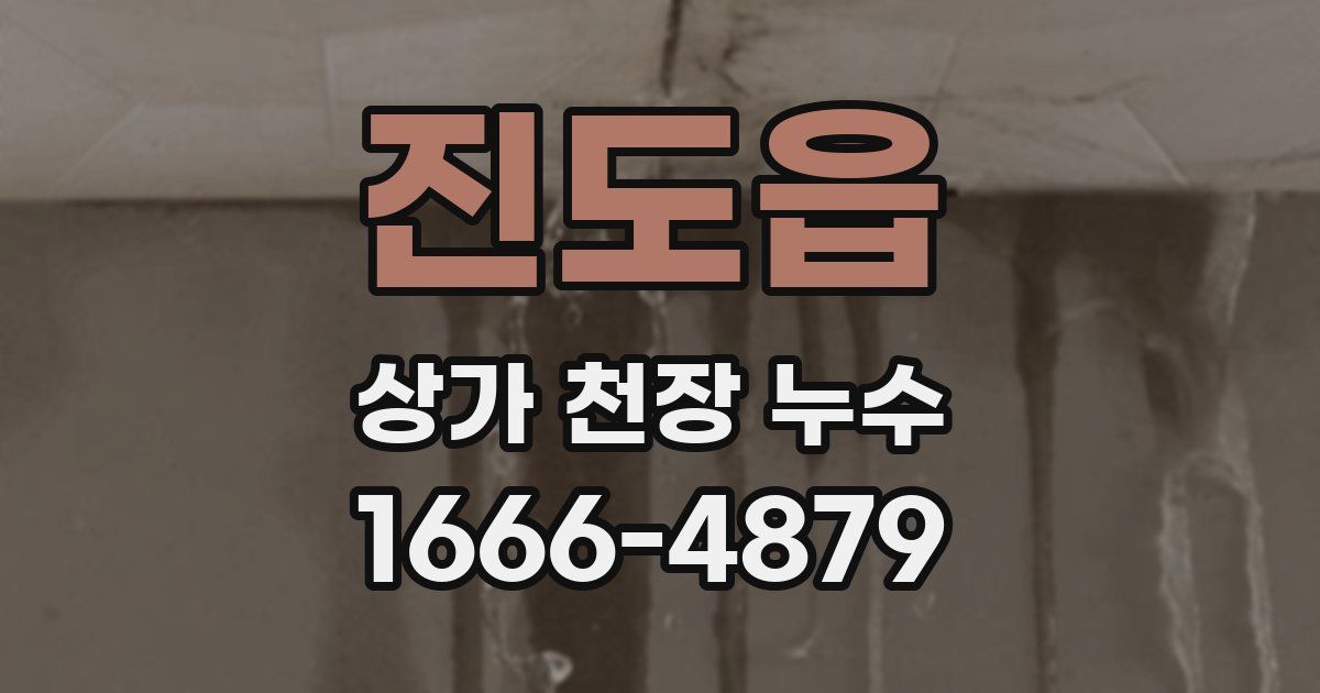 진도읍 상가 천장 누수