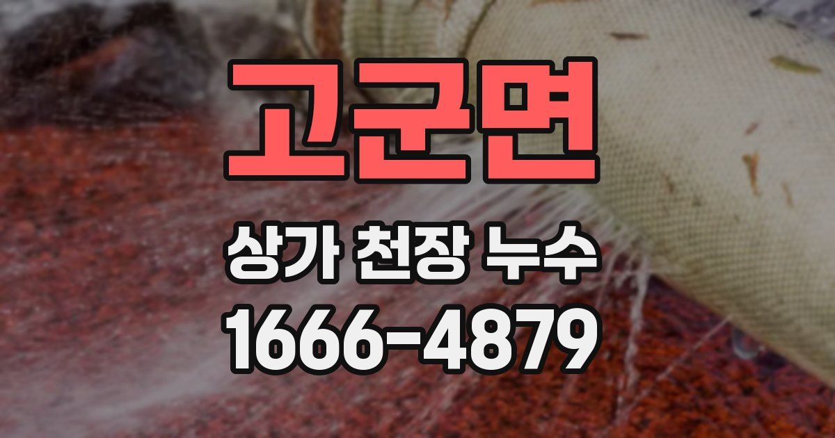 고군면 상가 천장 누수