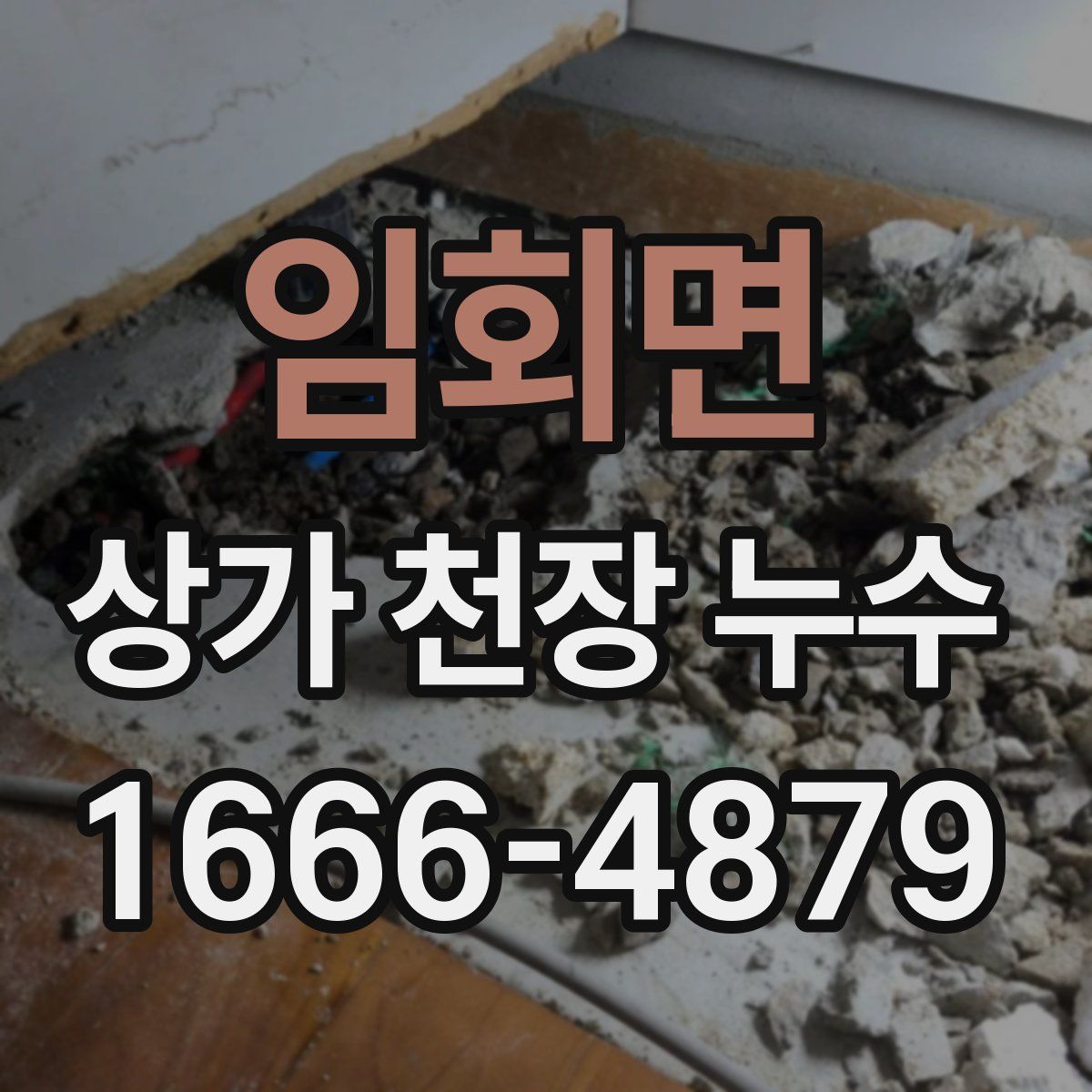 임회면 상가 천장 누수