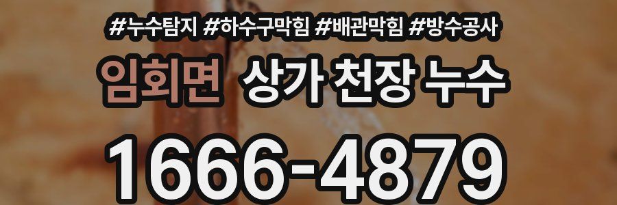 임회면 상가 천장 누수