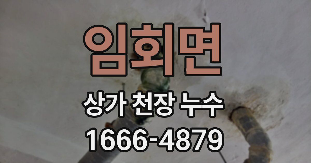 임회면 상가 천장 누수