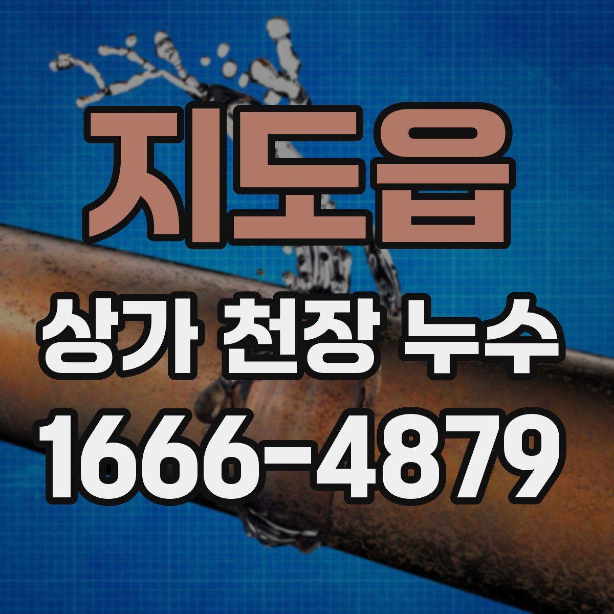 지도읍 상가 천장 누수