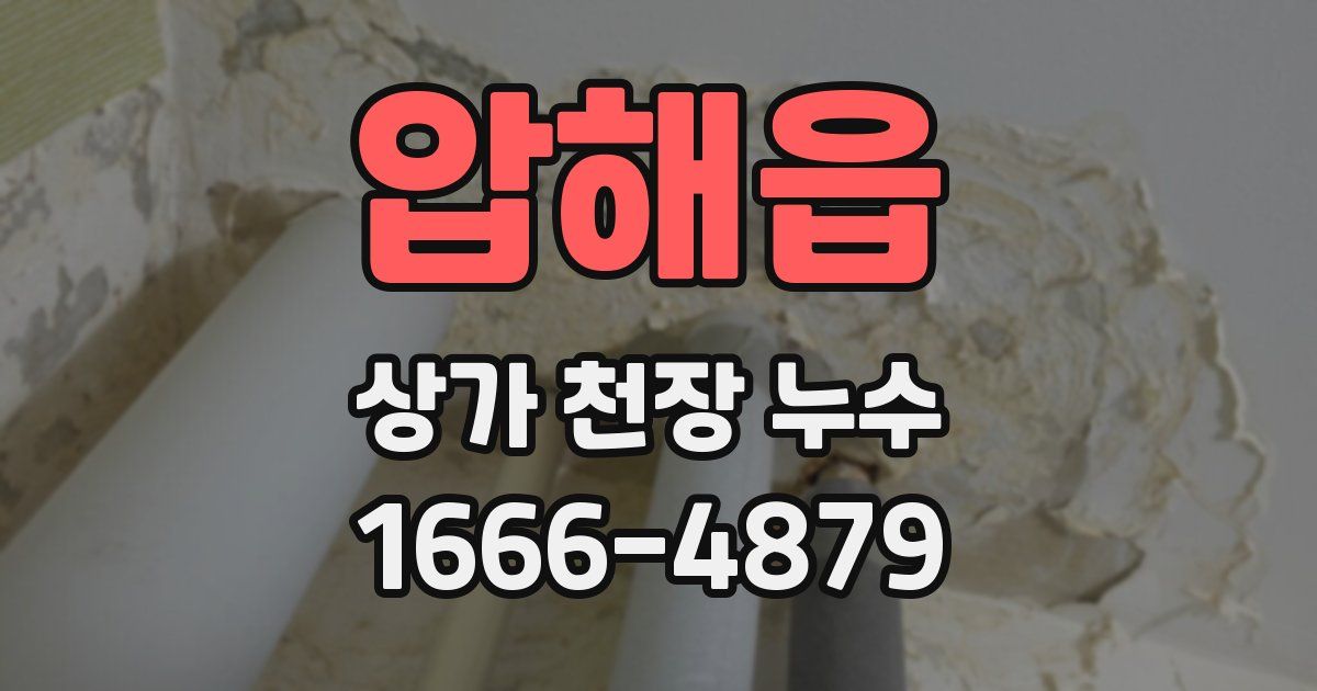 압해읍 상가 천장 누수