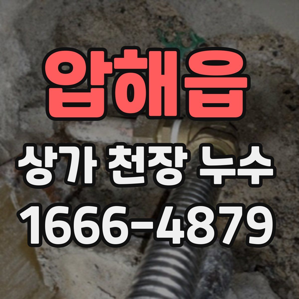 압해읍 상가 천장 누수