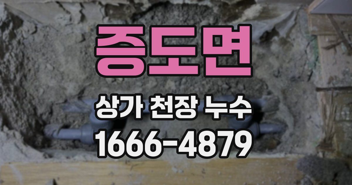 증도면 상가 천장 누수