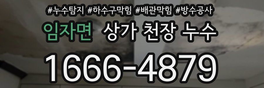 임자면 상가 천장 누수