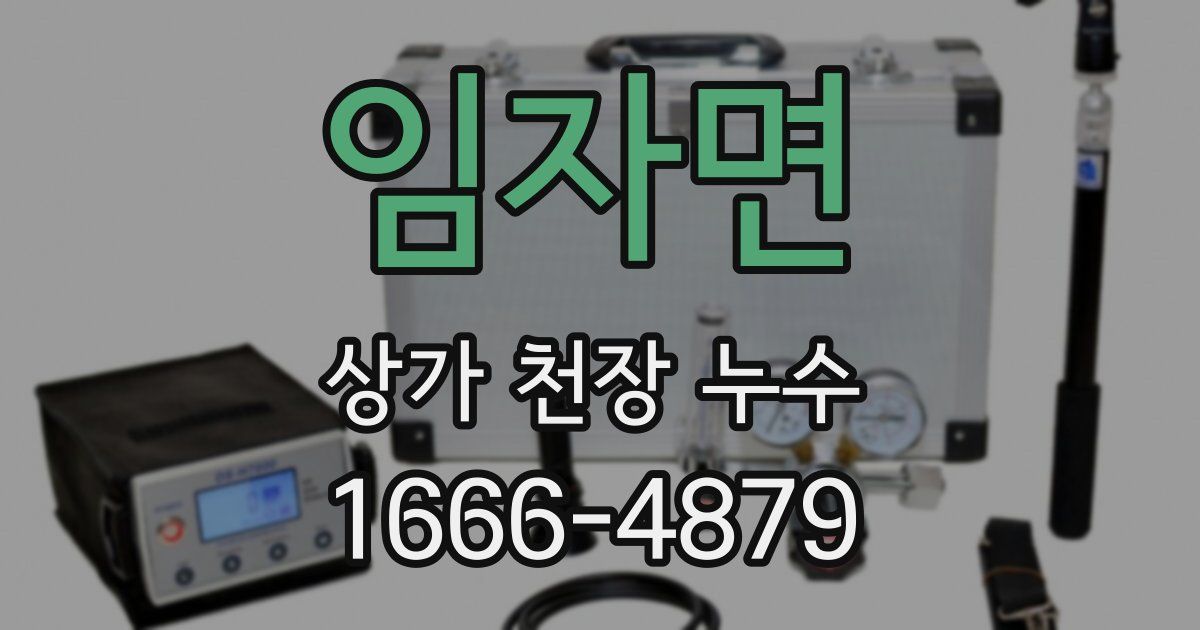 임자면 상가 천장 누수