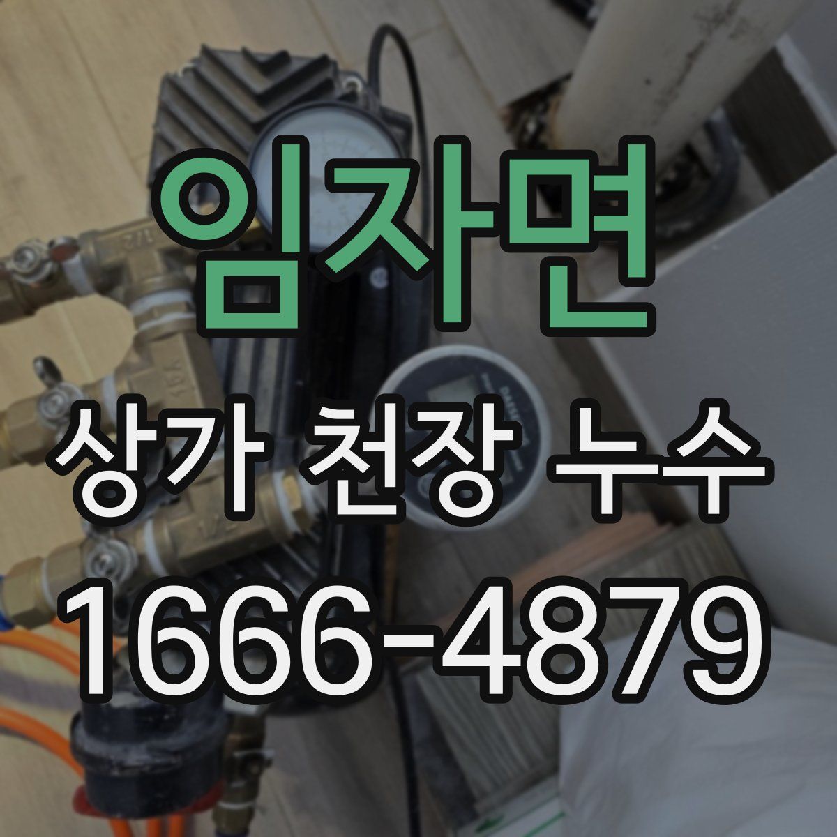 임자면 상가 천장 누수