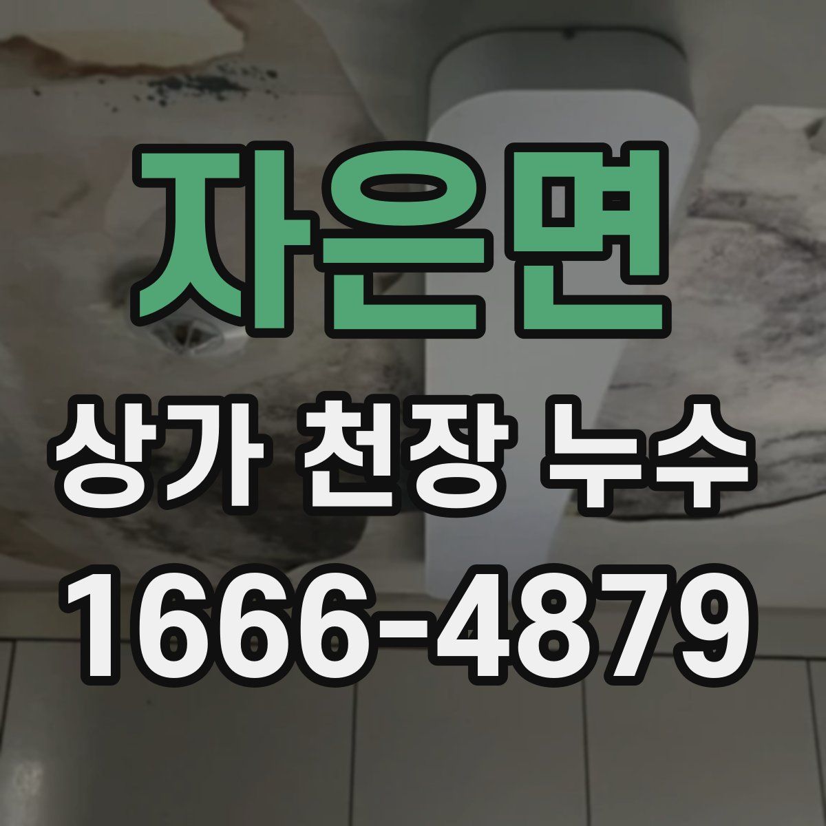 자은면 상가 천장 누수