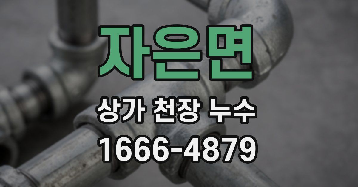 자은면 상가 천장 누수