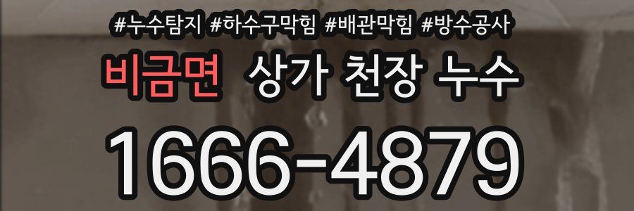 비금면 상가 천장 누수
