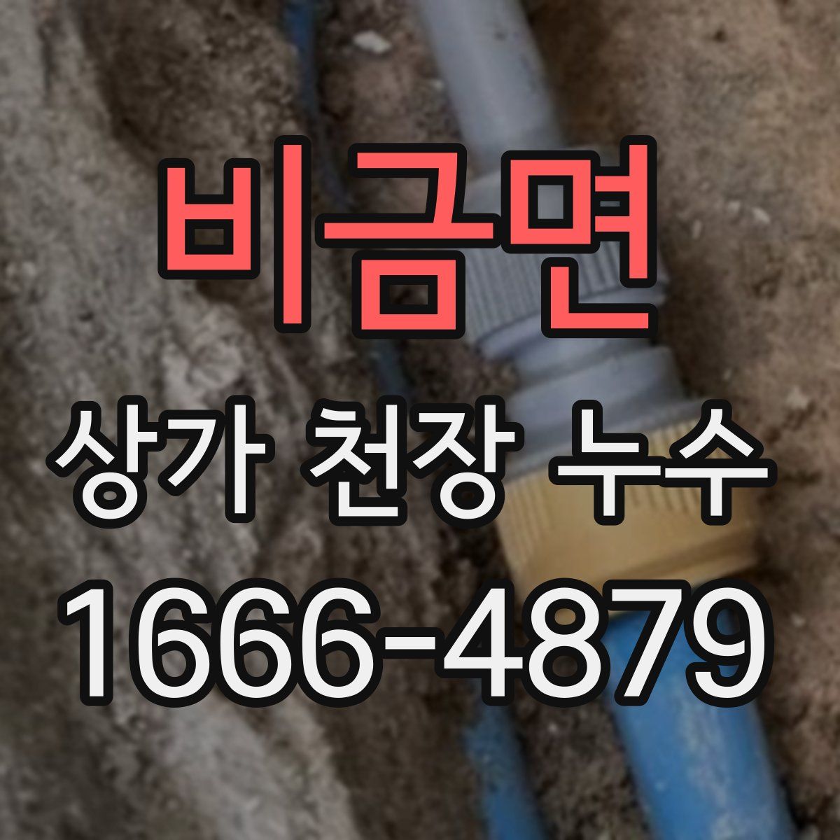 비금면 상가 천장 누수