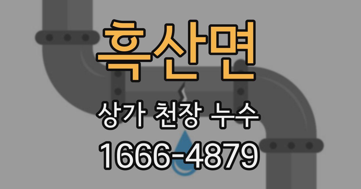 흑산면 상가 천장 누수