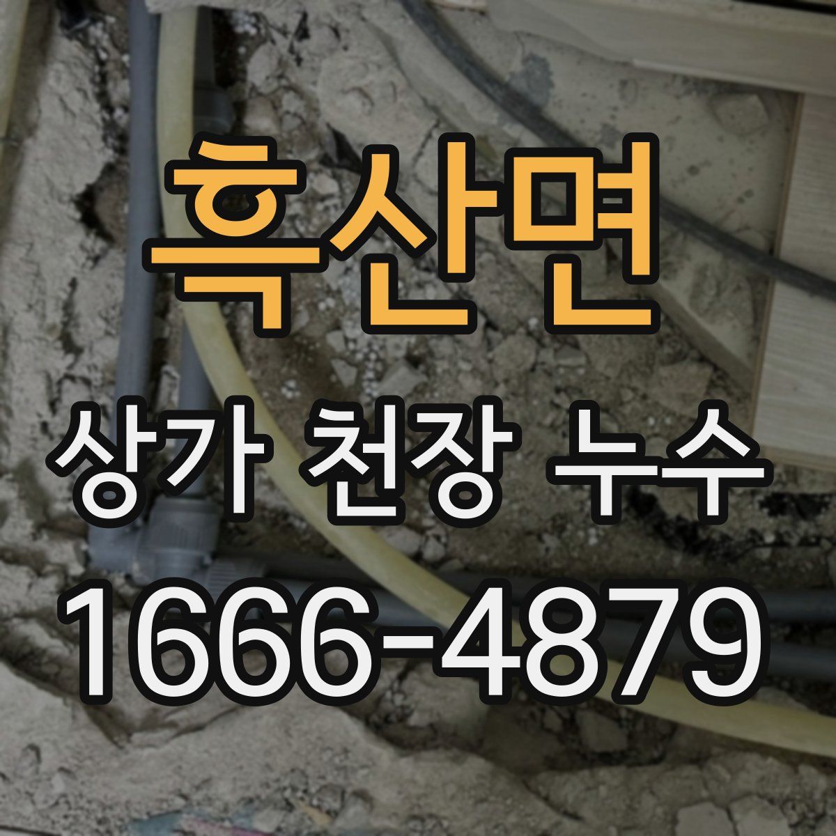 흑산면 상가 천장 누수